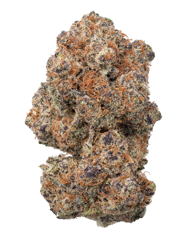 THCa Black Dolphin Indoor Hydro
